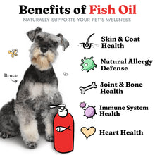 Load image into Gallery viewer, Fish Oil for Dogs - Healthy Skin &amp; Coat, Salmon, Pollock, All Natural Supplement for Pets, Itching Scratching Allergy &amp; Inflammation Defense, Omega 3 EPA DHA, Brain &amp; Heart Health, 64 oz
