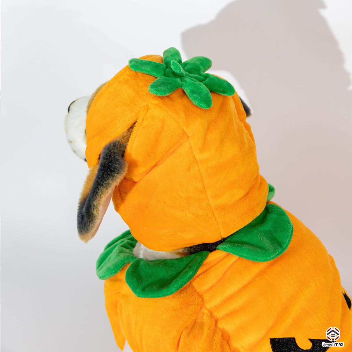 Pumpkin Dog Costume Pumpkin Pet Cosplay Outfits Hat Cute Novelty Pet Halloween Costume Party Favors Birthday Clothes Cats Dogs Orange (Pumpkin Dog Costume, Medium)