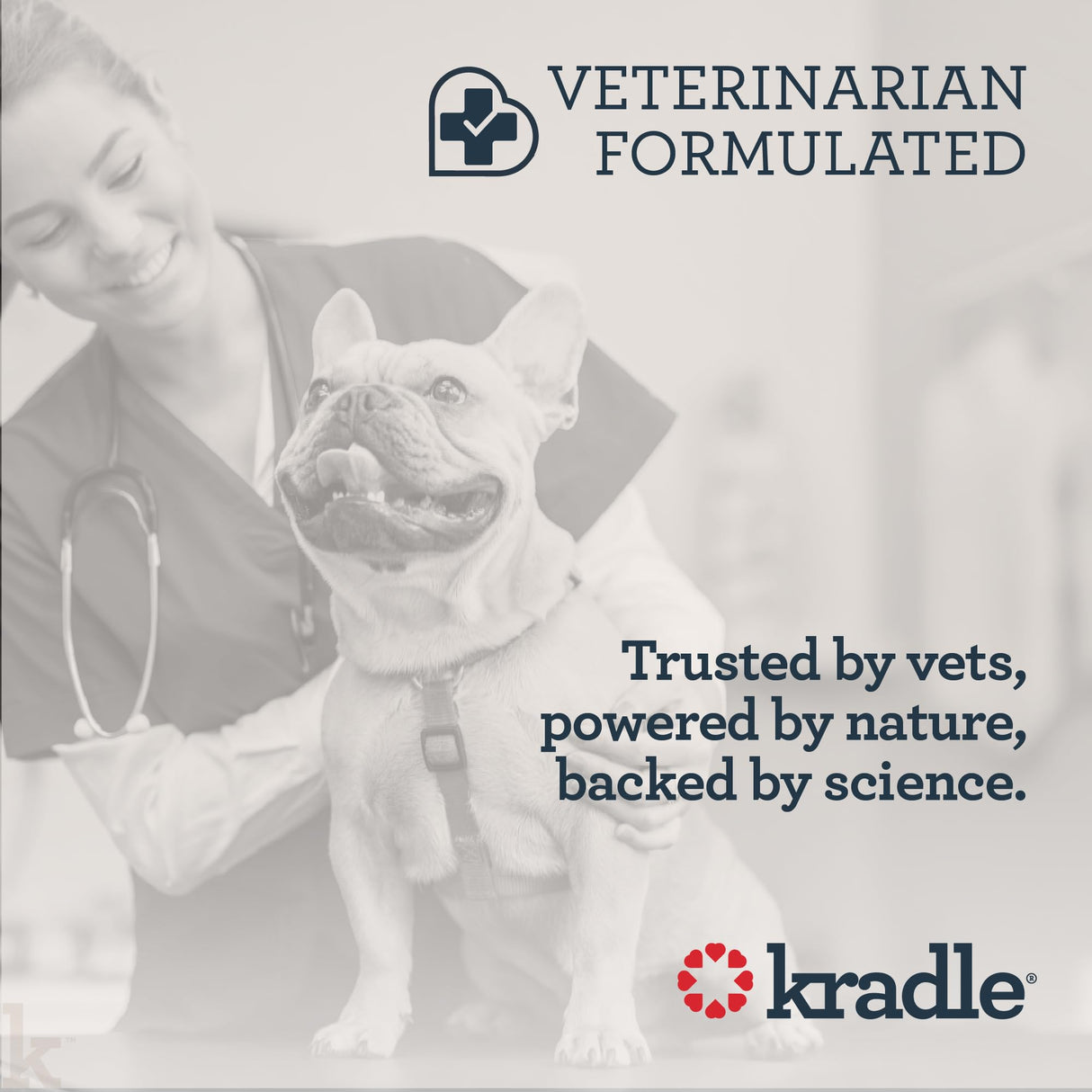Kradle Bliss Bars for Dogs - Peanut Butter Flavored Calming - GABA L-Theanine - On The Go Packaging - Supports a Calm Demeanor - 6 Bars