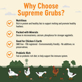 Supreme Grubs Natural Black Soldier Fly Larvae for Chickens, 85X More Calcium Than Mealworms-High Protein Grub Food Chicken Treats for Hens, Probiotic-Rich Chicken Feed, Calcium-Dense Bird Treat 5lb