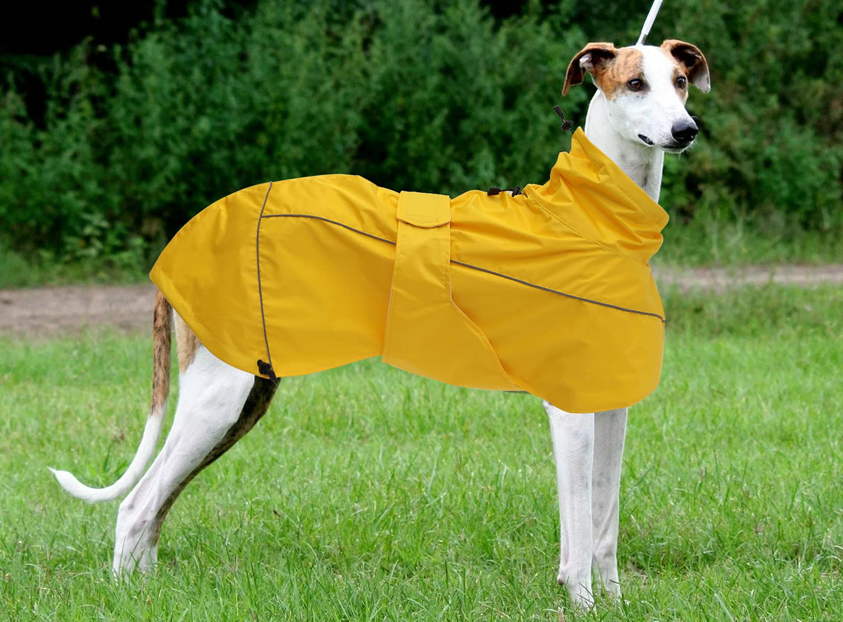 Greyhound Lurcher Raincoat, Whippet Rain Gear with Reflective Bar, Rain/Waterproof, Adjustable Bands and Drawstring in Autumn and Winter - Yellow - XL