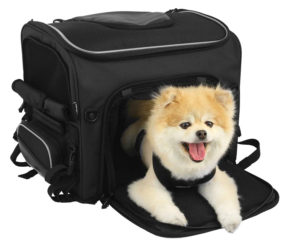 Nelson-Rigg Route 1 Rover Pet Carrier: Weather Resistant, Portable, and Secure Motorcycle pet Carrier/Crate; Fits Harley Davidson, Indian, Yamaha & Suzuki Motorcycles