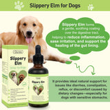 Slippery Elm for Dogs, Organic Herbal Digestive Support Drops for Dog Diarrhea Constipation Sensitive Stomach Acid Reflux, Promotes Healthy Digestion Bowel Function, Liquid Formula for All Breeds
