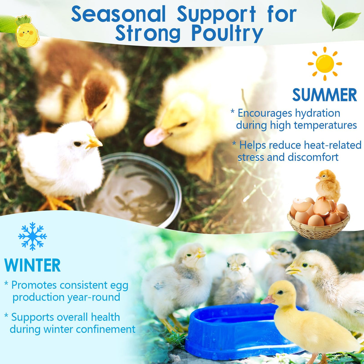 Chicken Vitamin, Electrolyte & Probiotic Supplement - Support Hydration Digestion Immunity Egg Production – Poultry Supplement for Chickens, Ducks, and All Ages of Birds – All-Season Use,10oz Powder