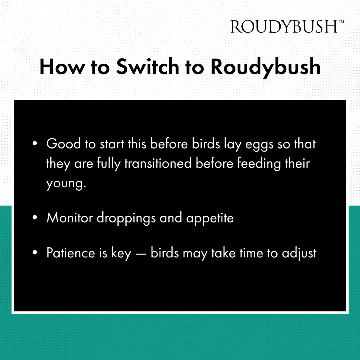 RoudyBush Senior Bird Diet, Small, 44-Ounce, Yellow, 2.75 Pound (Pack of 1)