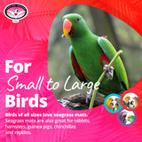 Super Bird Creations SB50008 Seagrass Mat for Cage Decor, Pet Enrichment and Boredom Relief - Versatile Toy-Making Base - Ideal for Parrots - Small to Large Birds & Reptiles - 7"x12" (3 Pack)