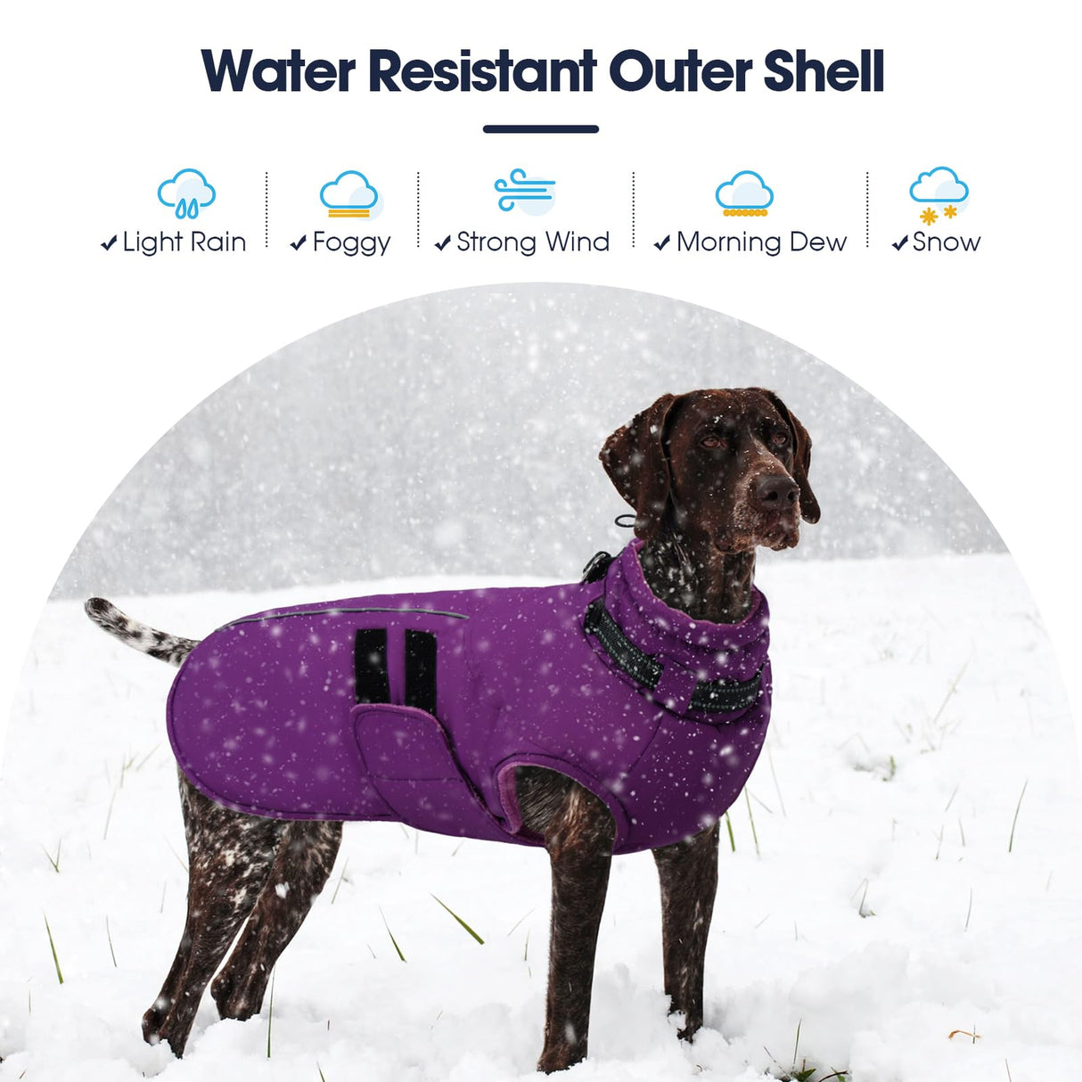 IECOii Big Dog Winter Coat for Giant Breed Dogs Waterproof Dog Jacket with Built in Collar, Reflective Dogs Coat Pet Snow Jacket for Great Dane Saint Bernard, Easy Outdoor Walking, Purple - 5XL