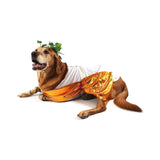 Midlee Toga Dog Halloween Costume (XXX-Large)