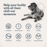 Kradle Bliss Bars for Dogs - Peanut Butter Flavored Calming - GABA L-Theanine - On The Go Packaging - Supports a Calm Demeanor - 6 Bars