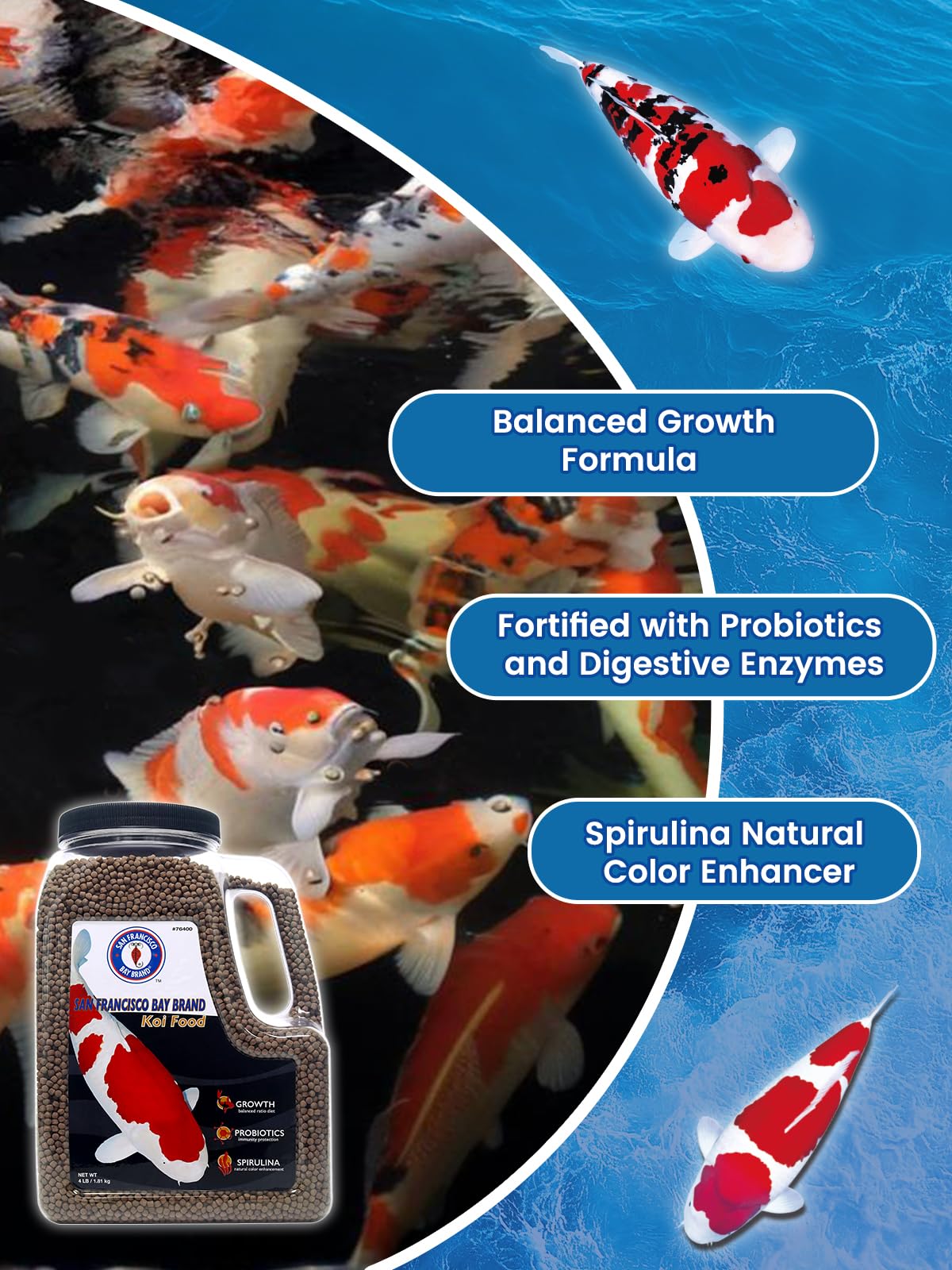 San Francisco Bay Brand Premium Koi Fish Food 4 lbs - Medium Floating Pellets Fish Food, All-Natural Spirulina & Probiotics Koi Food, Complete Multi-Season Diet, Enhance Color & Immunity, 36% Protein