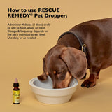 Rescue Remedy Pet Dropper - 20mL - Stress & Tension Support for Dogs & Cats with Bach Natural Flower Essences - Sedative-Free, Homeopathic Liquid Formula - For All Breeds, Ages & Weights