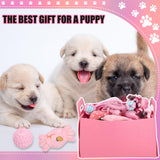Abbylike 75 Pcs Puppy Supplies Starter Kit for Small Dogs New Puppy Essentials Starter Kit Pink for School Dog Toys Includes Dog Leash, Bowl, Brushes, Water Bottles, Christmas Welcome Home Gift