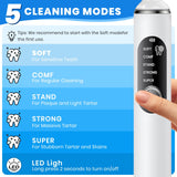 PATWING Dog Plaque Remover for Teeth,Pet Tooth Cleaner with LED Light,Cleaning Kit for Tartar and Stains,5 Adjustable Modes,Pet Teeth Cleaning kit,Suitable for Dogs and Cats (White)