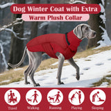 DENTRUN Dog Coat with Collar Built in - Fleece-Lined Windproof Dog Jacket, Adjustable Belly Straps & Reflective Strips, No-Sleeve Design for Beagle, Dachshund, Daily Walks, Red, M