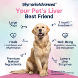SilymarinAdvanced Liver Health Supplement for Large Dogs - Milk Thistle for Dogs Liver Support with S-Adenosylmethionine (Same) & Silybin - 30 Tablets