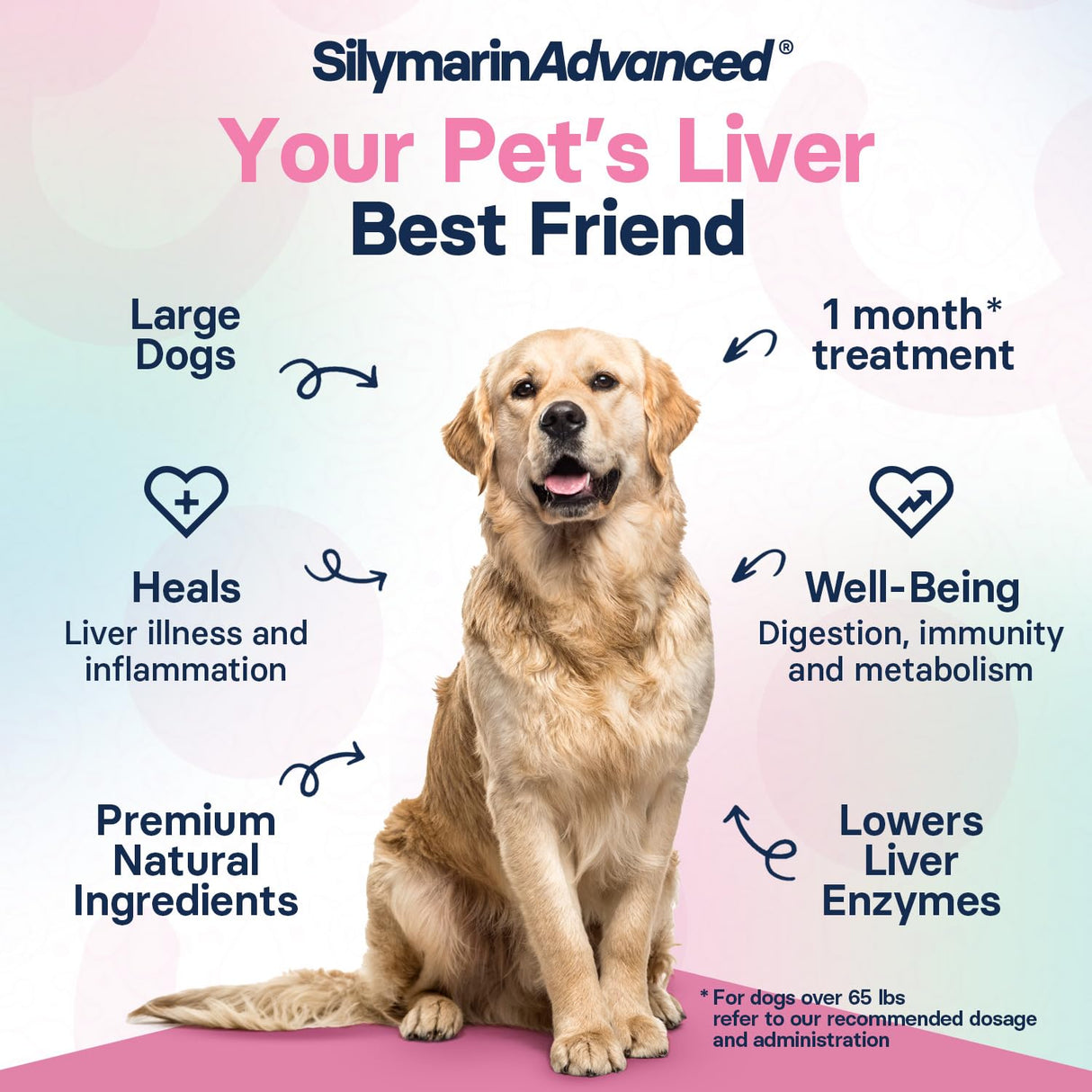 SilymarinAdvanced Liver Health Supplement for Large Dogs - Milk Thistle for Dogs Liver Support with S-Adenosylmethionine (Same) & Silybin - 30 Tablets
