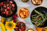 PrimalBlend All Natural Parrot Food - Flora