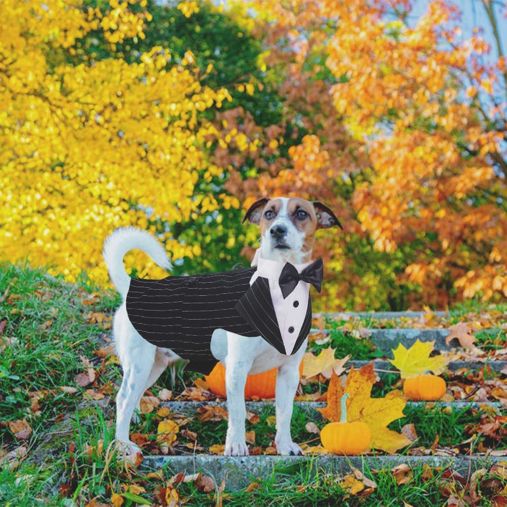 QBLEEV Dog Tuxedo - Formal Dog Suit with Bow Tie, Bandana Set, Halloween & Christmas Outfit, 2XL Stripe
