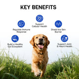 Furry Armor Dog Allergy Relief Chews - Dog Itching Skin Relief - 180 Chews - Anti-Itch, Hot Spots, Paw Licking - Immune Health - Omega 3 Fish Oil - Dry Itchy Skin and Coat Supplement