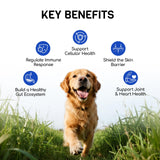 Furry Armor Dog Allergy Relief Chews - Dog Itching Skin Relief - 180 Chews - Anti-Itch, Hot Spots, Paw Licking - Immune Health - Omega 3 Fish Oil - Dry Itchy Skin and Coat Supplement