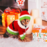 Dansydaisy Cat Christmas Costume Lime Green Character Pet Outfit Holiday Green Furry Pet Velvet Costume Cosplay Outfit Cute Funny Christmas Dogs and Cats Clothes for Party Favors(X-Large)