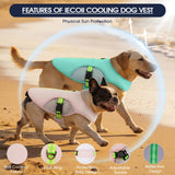 IECOii Dog Cooling Vest for Summer, Lightweight Breathable Dogs Cooler Shirt with Leash Ring, Adjustable Cool Jacket Reflective Pet Cooling Harness for Outdoor Walking, Hiking, Beach, Pink, Size M