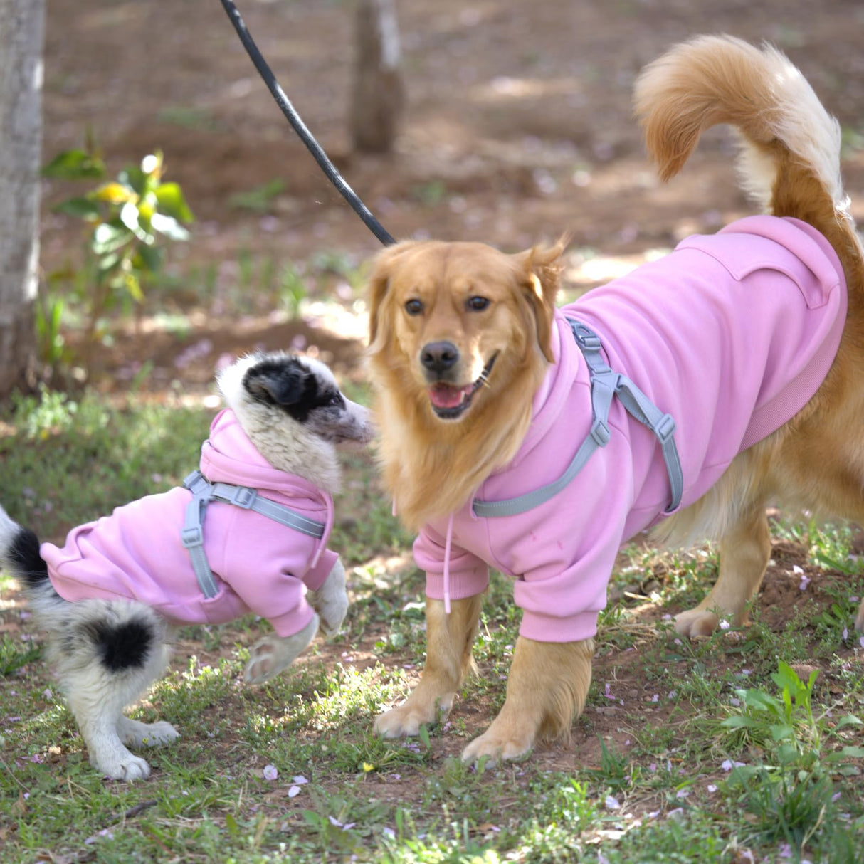 Furmate Dog Hoodies with Hurns Built in, Dog Sweatshirt for Small, Medium, and Large Dogs, Warm Sweaters for French Bulldogs, Pitbull, Puppy, Winter Jacket Alternative - Pink - L