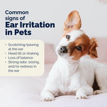 Load image into Gallery viewer, Vetnique Oticbliss Advanced Strength Medicated Dog Ear Infection Treatment, Antiseptic Ear Cleaner for Cat &amp; Dog Ear Cleaning Solution Chlorhexidine &amp; Ketoconazole (12oz Flush)
