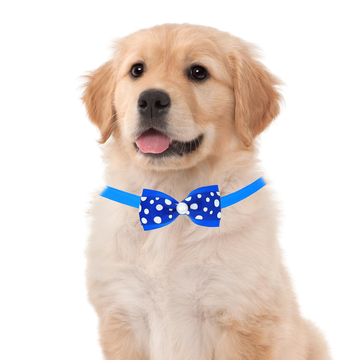 PET SHOW Cute Bow Ties Collar for Small Dogs Puppy Cats Adjustable Bowties Neckties Pet Grooming Accessories Assorted Randomly Pack of 50 (Boy Bow Ties)