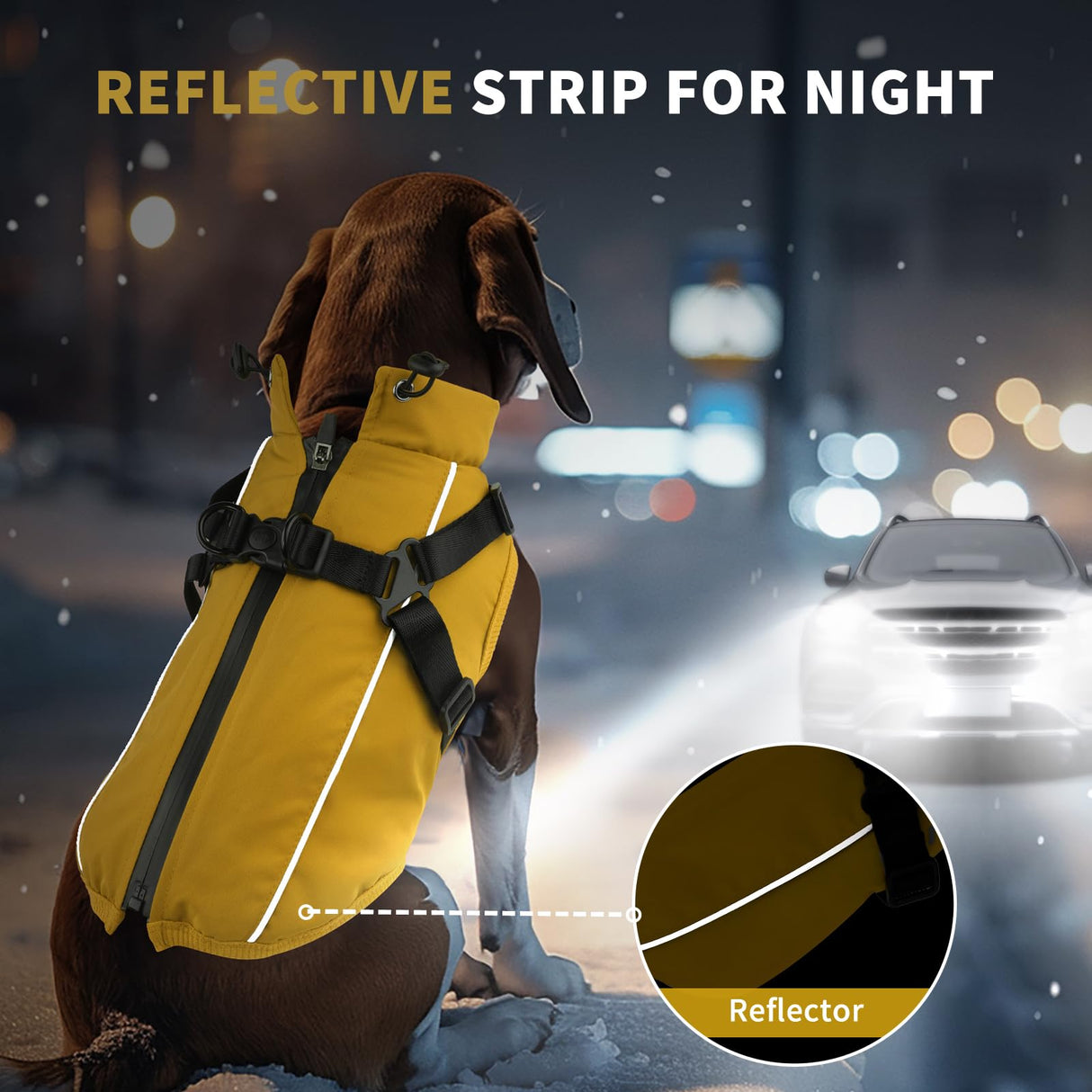 Fiveda Dog Winter Coat Reflective Water-Resistant Jacket, Fleece Lined Windproof Puppy Coat with Back Zipper & D-Ring, Cold Weather Dog Coats for Small Medium Dogs (L, Orange)