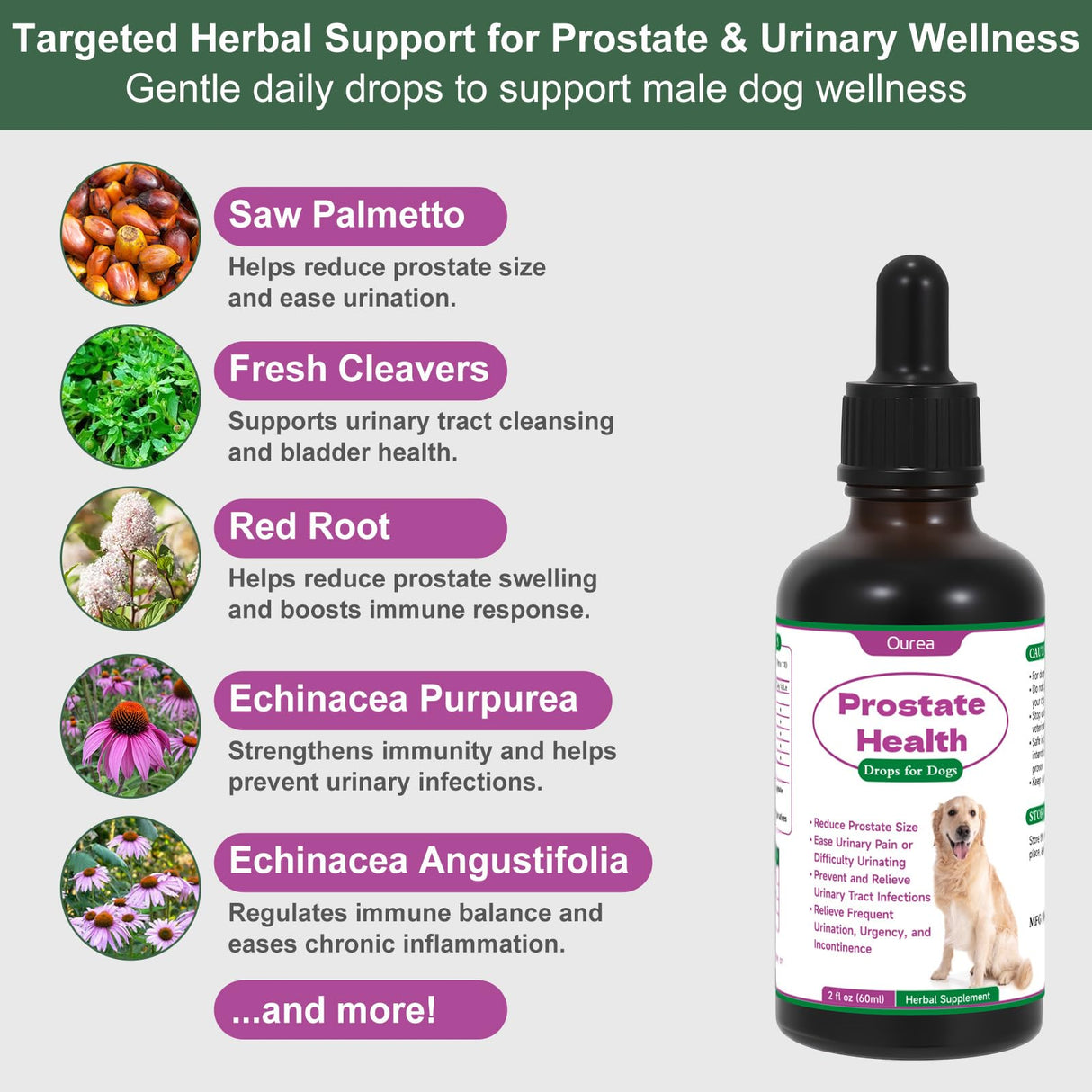 Prostate Health Drops for Dogs, Relieves Enlarged Prostate, Supports Urinary Tract Health Bladder Normal Frequency, Enhances Overall Immune, Herbal Liquid Supplement for Senior and Intact Male Dogs