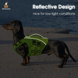 Queenmore Small Dog Life Jacket,Small Dog Life Vest for Swimming,Adjustable Reflective Dogs Swimming Vest,High Buoyancy Dogs Lifesaver,Pet Life Preserver(Green,S)