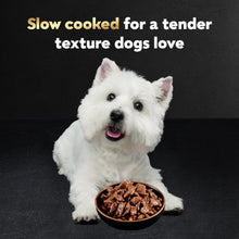 Load image into Gallery viewer, Cesar Filets in Gravy Adult Wet Dog Food Variety Pack, Filet Mignon, New York Strip and Prime Rib Flavors, 3.5 oz. Easy Peel Trays, Variety Pack, 24 Count
