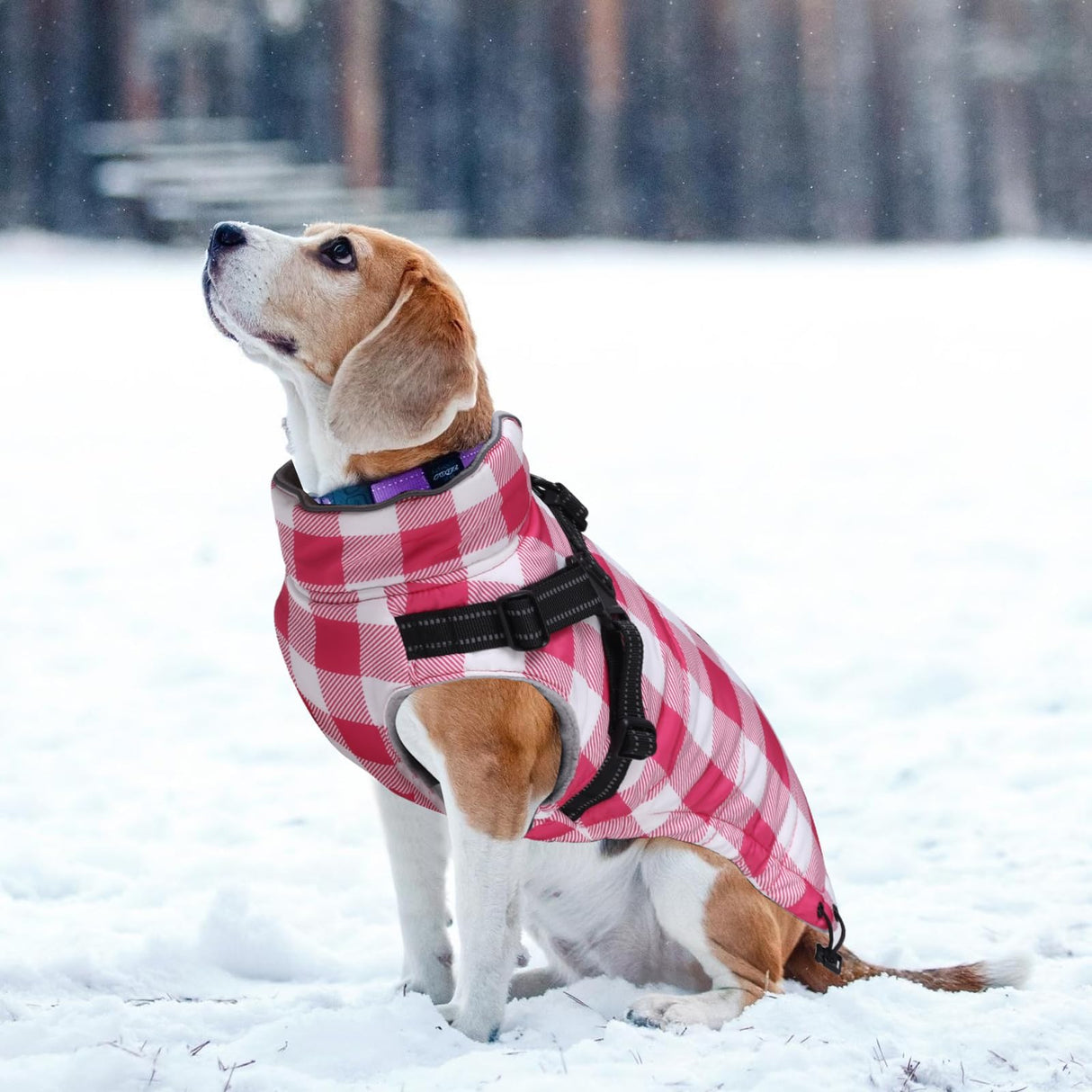 Brabtod Dog Winter Jacket,Waterproof Dog Coat with Harness Built in,Puppy Vest Small Dog Clothes with Fleece Lining,Ideal for Outdoor and Indoor-Pink-S