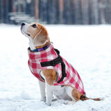 Brabtod Dog Winter Jacket,Waterproof Dog Coat with Harness Built in,Puppy Vest Small Dog Clothes with Fleece Lining,Ideal for Outdoor and Indoor-Pink-S