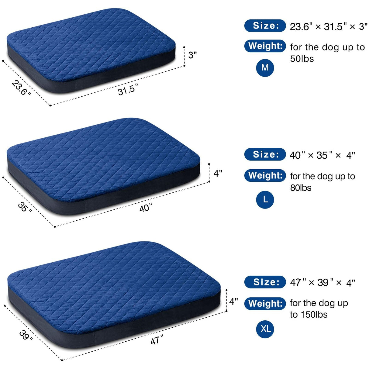 JoicyCo Dog Bed for Medium Dogs, Orthopedic Foam Dog Bed, Joint Relief Pets Sleeping Mattress, Non Slip Bottom with Washable Removable Cover, Dark Blue