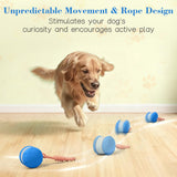PJC Interactive Dog Toy – Automatic Electric Rolling Ball with Rope, Motion-Activated Play, Random Movement, Rechargeable, Ideal for Boredom Relief for All Dog Sizes