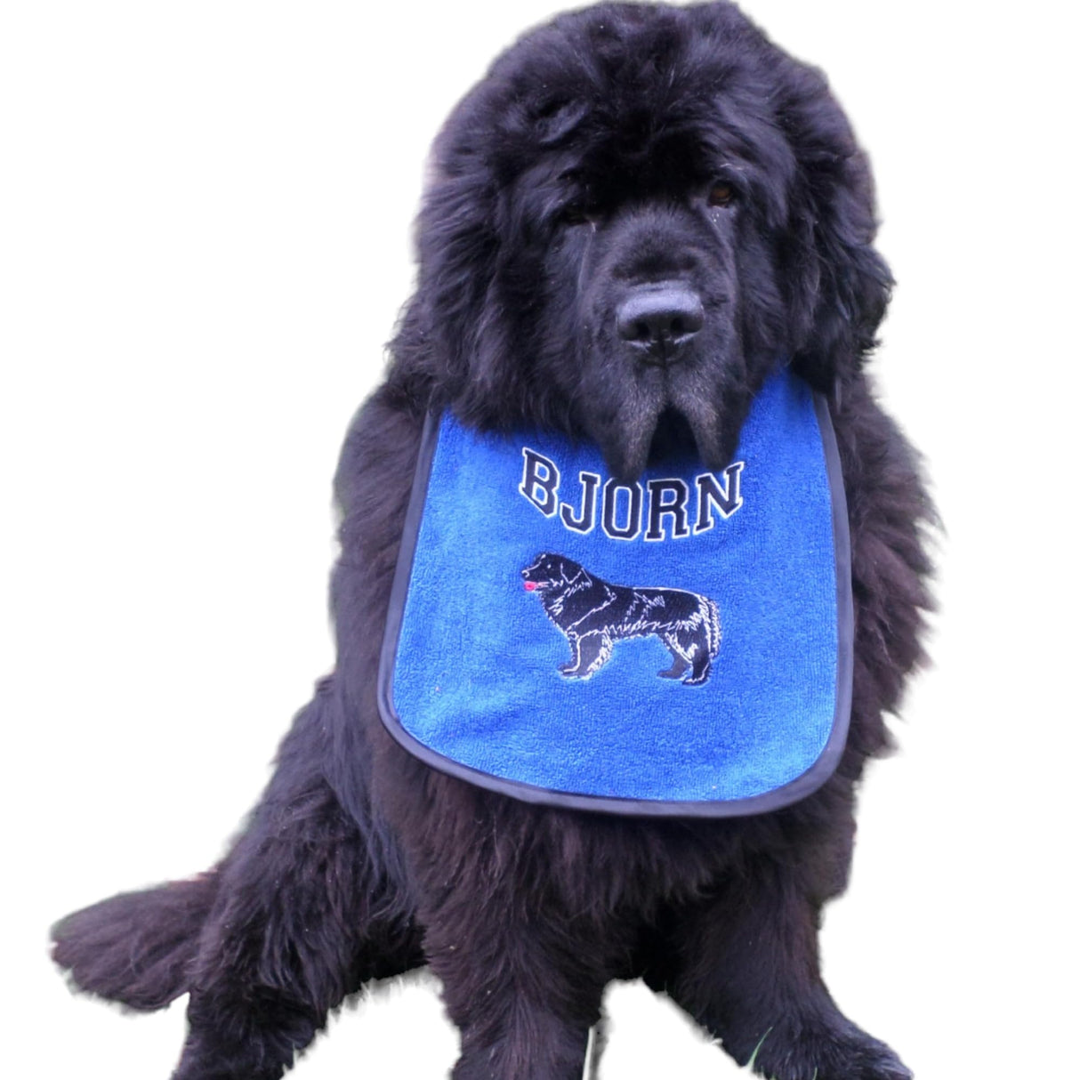 Doggies World Personalized Newfoundland Drooling Bib – Waterproof Slobber Protection for Large & Heavy-Drooling Dogs, Customizable Design, Washable, Adjustable & Durable