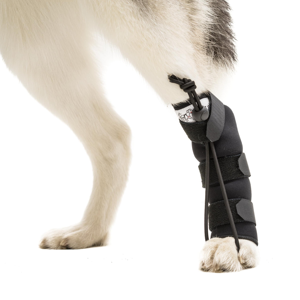 Walkin' Pets Rear No-Knuckling Training Socks for Dogs - 4-6 Inches, 30-60 lbs
