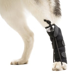 Walkin' Pets Rear No-Knuckling Training Socks for Dogs - 4-6 Inches, 30-60 lbs