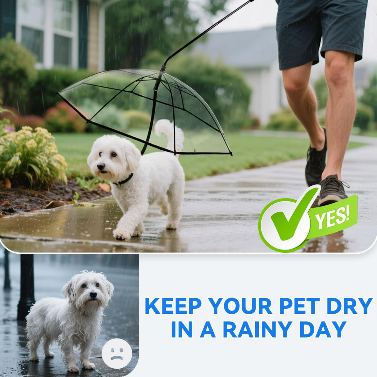 BillionChains Dog Umbrella for Small Dogs Clear Walking Umbrella with Adjustable Leash