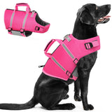 Queenmore Medium Dog Life Jacket,Dog Life Vest for Swimming,Dog Floating Vest for Boating,Pet Puppy Lightweight Adjustable Reflective Lifesaver Vest with Back Zip,Rescue Handle,Leash Hook(Fuchsia M)
