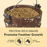 Scratch and Peck 3 Grain Scratch Chicken and Duck Supplemental Grain - 10 lbs Bag - Corn-Free and Soy-Free - 9.8% Protein, Certified Organic and Non-GMO Project Verified Chicken Food