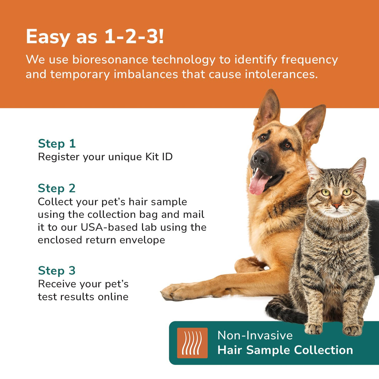 TotalVet Dog Allergy +1000 Food & Nutritional Sensitivity Test, Pet Intolerance Kit at Home — Advanced Complement to DNA Tests for Complete Pet Wellness