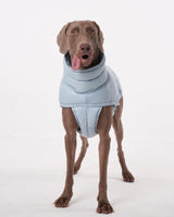 ChoChoCho Winter Dog Jacket, Cold Weather Coats, Lightweight, Thermal Insulated, Water-Resistant, Adjustable Dog Jackets with Leash Access for Small Medium Large Breeds (Blue, 3)