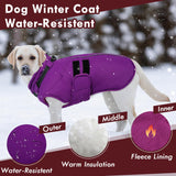IKIPUKO Large Dog Jacket, Waterproof Winter Coat with Harness Built in, Reflective Adjustable Hook&Loop Dog Snowsuit Cold Weather, Warm Snow Coat for Dogs French Bulldog, L Purple