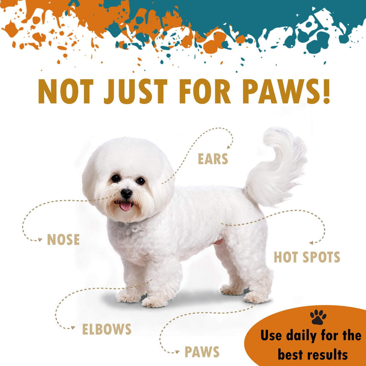Petsus Dog Paw Balm – Lick-Safe Wax & Moisturizer for Dry, Cracked Pads, Nose & Snout – Natural Protection for Winter & Hot Pavement with Dead Sea Minerals, Shea Butter, Coconut Oil – 1.75 oz
