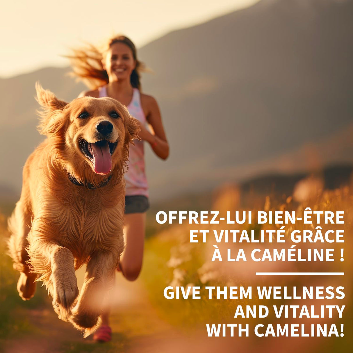 Camelina Oil for Dogs & Cats, 500mL by Olimega Farm | High in Omega-3 & Vitamin E | Support for Healthy Joints, Coat & Skin | Alternative to Salmon Oil for Dogs | Made in Canada | Non-GMO