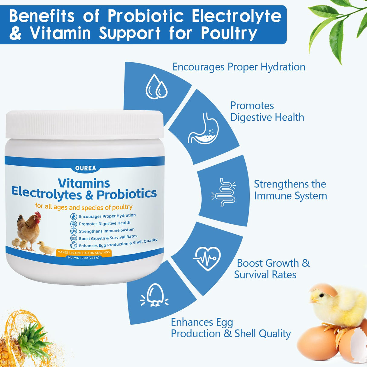 Chicken Vitamin, Electrolyte & Probiotic Supplement - Support Hydration Digestion Immunity Egg Production – Poultry Supplement for Chickens, Ducks, and All Ages of Birds – All-Season Use,10oz Powder