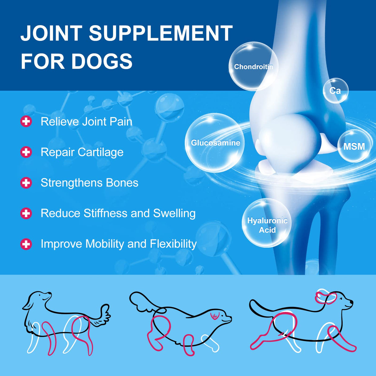 NATURE TARGET Dog Vitamins Powder, Probiotics & Digestive Enzymes for Gut Health, Glucosamine & Chondroitin & Omega 3, Complete Supplement for Homemade Dog Food, Joint & Skin & Immune Support